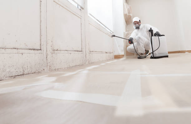 24/7 Emergency Attic Mold Remediation experts in Fort Monmouth, NJ